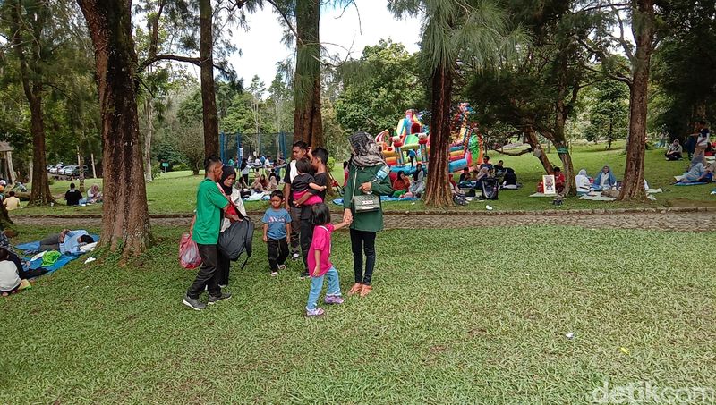 Suasana di Kebun Raya Cibodas.