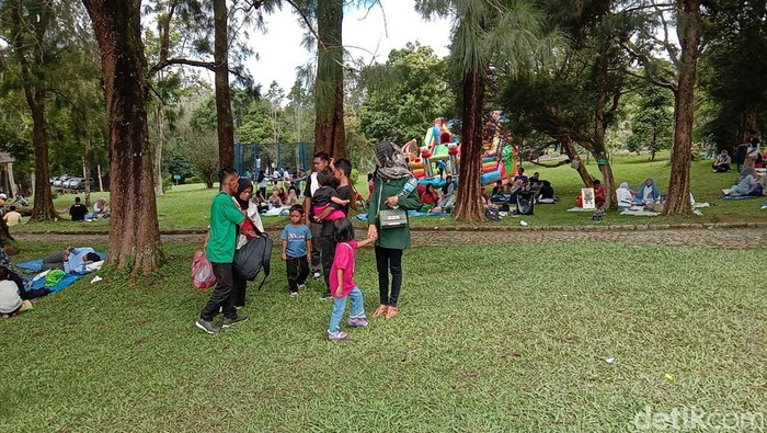 Suasana di Kebun Raya Cibodas.