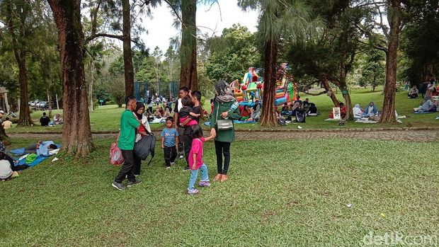 Suasana di Kebun Raya Cibodas.