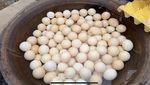 Wow! Yenny di China Masak 1000 Butir Telur Opor