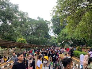 H+4 Lebaran, 109 Ribu Wisatawan Kunjungi Taman Margasatwa Ragunan