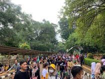 Suasana Taman Margasatwa Ragunan di H+4 Lebaran: Pengunjung Membeludak