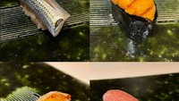 Tak afdol kalau ke Jepang belum makan sushi, Anya mengunjungi sebuah restoran untuk menikmati sushi yang autentik. Nigiri menjadi menu yang dipesan oleh Anya. Foto: Instagram @anyageraldine