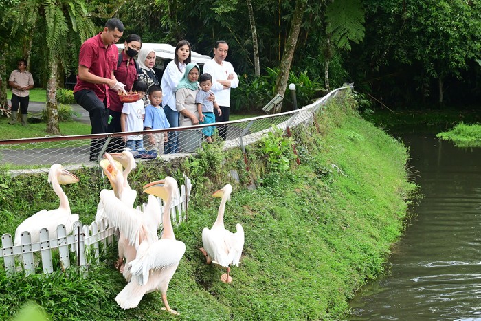 Jokowi berakhir pekan dengan mengajak ketiga cucunya wisata satwa di Deli Serdang, Sumut.