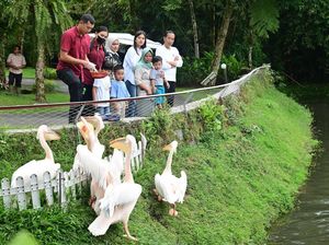 Libur Lebaran, Jokowi Ajak Cucu Main ke Mini Zoo