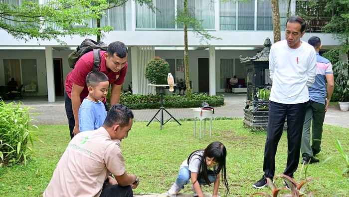 Liburan Keluarga Presiden di Sumut: Momen Seru Jokowi-Iriana dan Cucu Berinteraksi dengan Satwa