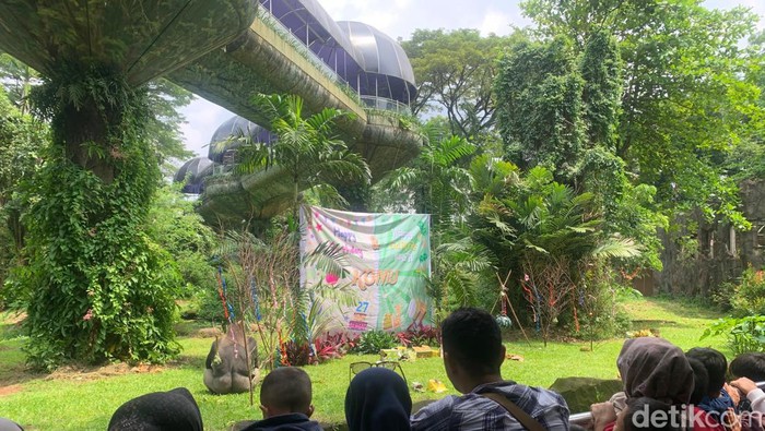 Ragunan Gelar Perayaan Ultah Gorila Kumbo dan Kihi 12 Mei, Ayo Ramaikan!