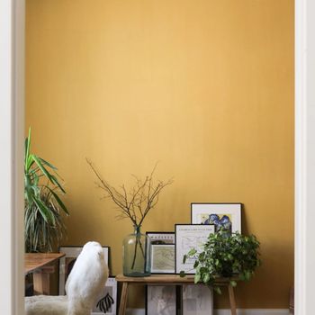 Ruangan Tembok Kuning