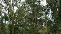 Siapa nih yang pernah berlibur ke Nara Park di Jepang seperti Anya?  (dok Anya Geraldine/Instagram)