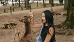 Cantiknya Anya Geraldine Liburan di Taman Nara Jepang