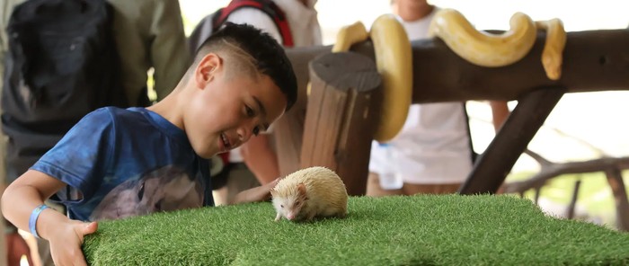 Bali Zoo
