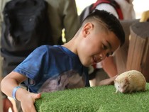 5 Destinasi Liburan Asyik untuk Keluarga di Bali, Ada Zoo-Waterbom