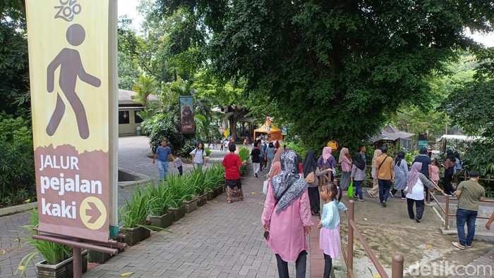 Wisatawan saat mengunjungi Gembira Loka Zoo Jogja, Minggu (14/4/2024).