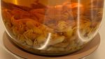 Mengintip Museum Makanan Menjijikkan Jerman, Ada Durian hingga Bayi Tikus