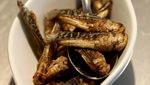 Mengintip Museum Makanan Menjijikkan Jerman, Ada Durian hingga Bayi Tikus
