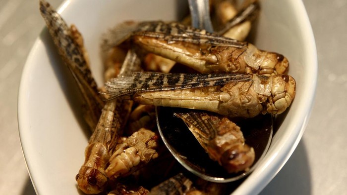 Mengintip Museum Makanan Menjijikkan Jerman, Ada Durian hingga Bayi Tikus Museum Makanan Menjijikkan di Berlin tidak cocok untuk mereka yang berjiwa lembut, seperti yang diakui secara terbuka oleh direkturnya saat dia menunjukkan penis banteng yang diletakkan di piring makan, bayi tikus yang diawetkan dalam arak beras, dan babi guinea goreng di sebuah pameran pada Jumat (12 April).