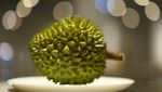 Mengintip Museum Makanan Menjijikkan Jerman, Ada Durian hingga Bayi Tikus