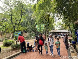Hari Terakhir Cuti Lebaran, Ragunan Masih Dipadati Pengunjung