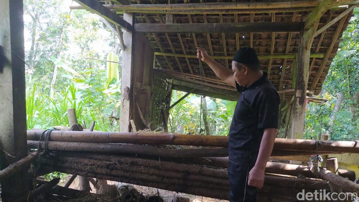 Kandang sapi milik Asmuni di Dusun Bekelan, Desa Gondangrejo, Kecamatan Windusari, Kabupaten Magelang, Senin (15/4/2024).