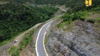 Staf Ahli Menteri Bidang Teknologi, Industri, dan Lingkungan Endra S. Atmawidjaja mengatakan selain untuk mengurangi beban lalu lintas arus mudik/balik Lebaran Jalan Tol Trans Jawa dan Jalan Pantai Utara (Pantura) Jawa, peningkatan kondisi jalan Pansela juga mendukung potensi pariwisata wilayah pesisir pantai selatan guna  mendorong perekonomian daerah setempat.  
