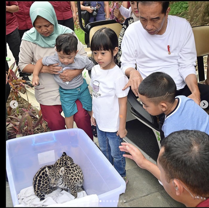 Jokowi di The Hill Resort Sibolangit