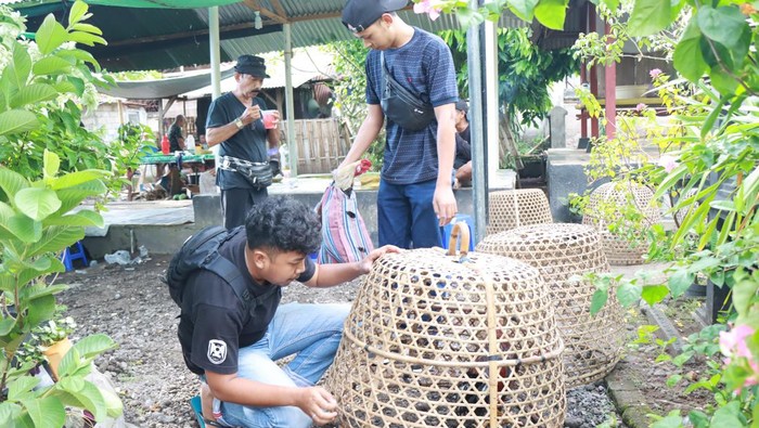 Polisi gerebek lokasi judi sabung ayam di Kota Mataram, 5 orang diamankan polisi, Senin sore (15/4/2024) kemarin. Foto: Humas Polresta Mataram.