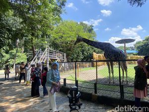 KBS Masih Ramai Diserbu Wisatawan Usai Libur Lebaran Berakhir