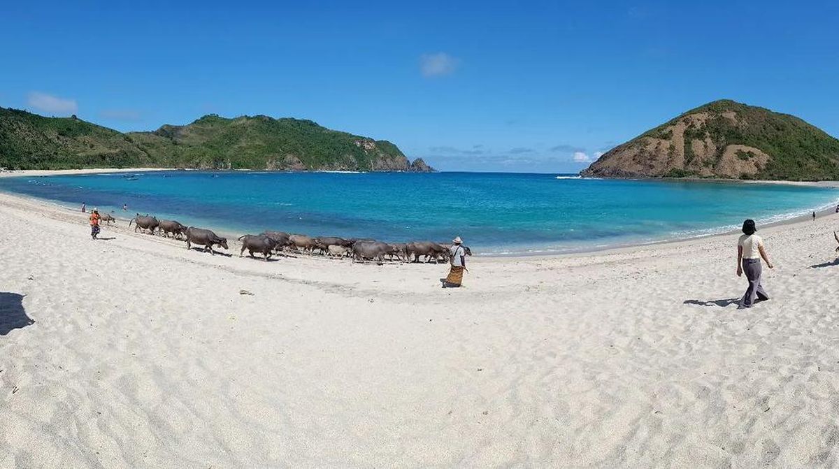 Pantai Mawun yang memukau dengan pasir putih lembut dan air laut yang biru jernih, surga tersembunyi di Lombok