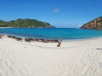 Destinasi Wisata Pantai Mawun di NTB: Daya Tarik hingga Rute