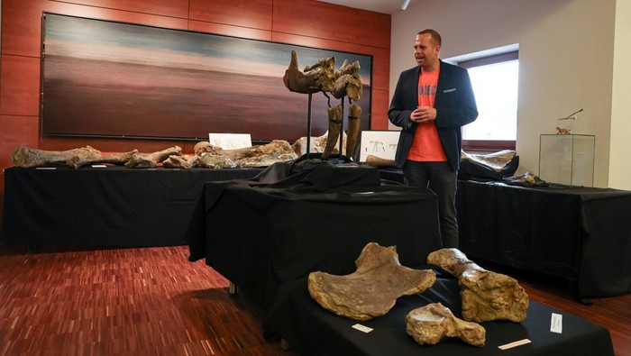 Penampakan Tulang Gajah Prasejarah Berusia 10 Juta Tahun Voluntary museum director of the Prehistoric Museum, head of the excavation Peter C. Kapustin presents original fossils following a discovery of a ten-million-year-old elephant cemetery in the district of Erding, in Taufkirchen near Munich, Germany, April 15, 2024. REUTERS/Leonhard Simon