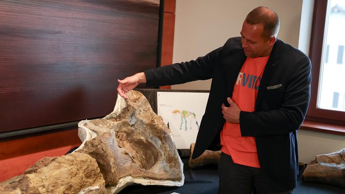 Voluntary museum director of the Prehistoric Museum, head of the excavation Peter C. Kapustin presents original fossils following a discovery of a ten-million-year-old elephant cemetery in the district of Erding, in Taufkirchen near Munich, Germany, April 15, 2024. REUTERS/Leonhard Simon