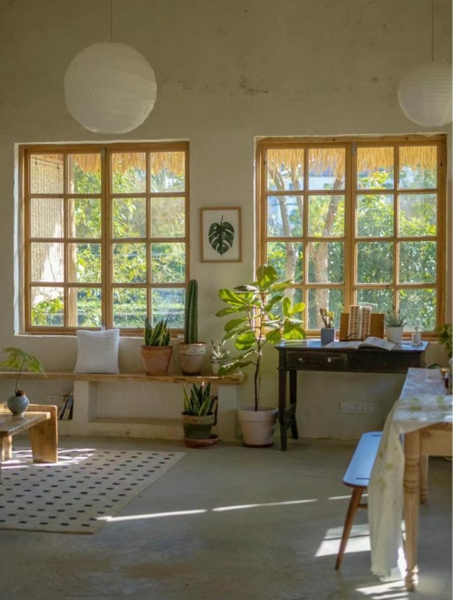 To To memutuskan menyewa rumah yang dulunya dijadikan kandang ayam itu untuk mewujudkan hobinya bercocok tanam. Sehari-hari dia tinggal di kota besar sehingga sulit mendapatkan lahan untuk melakukan hobinya. Foto: Dok. Eva.vn