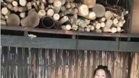 Tengku Zanzabella juga pernah mengunjungi sebuah agrowisata di Bali tentang kopi luwak. Istri dari AKBP I bernama Nengah Adi Putra ini juga melihat proses pembuatan kopi tersebut. Foto: Instagram @zanzabellaa