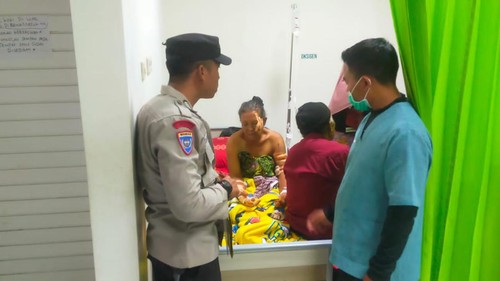 Tiga warga Sembalun, Lombok Timur, NTB, diserang babi hutan saat berkebun.