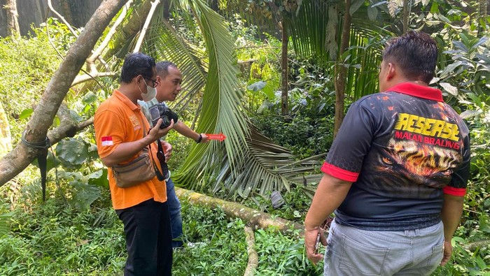 Tim Inafis Polres Purbalingga melakukan olah TKP di lokasi pria terjatuh dari pohon Alba di Desa/Kecamatan Bojongsari, Kabupaten Purbalingga, Selasa (16/4/2024).