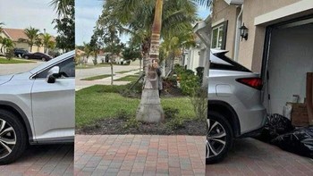 Penjual cermin yang kreatif. Foto: Boredpanda