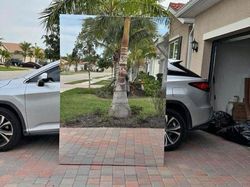 Tingkah Kocak Penjual Cermin di Online, Effort Banget