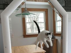 Tingkah Kocak Penjual Cermin di Online, Effort Banget