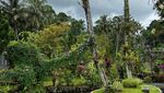 Ini Ghiffari Valley dan 5 Kisah Kopi di Kuningan, Seger Pol!