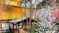 Instalasi Minka atau Rumah Traditional Jepang juga turut melengkapi keindahan taman bunga Sakura.