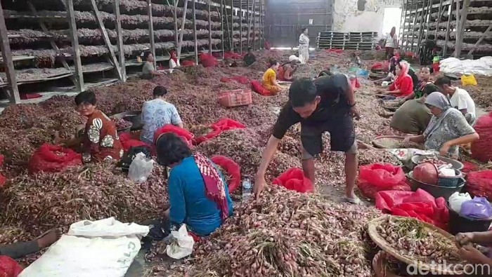 Bawang merah di Brebes. Foto diunggah Rabu (17/4/2024).