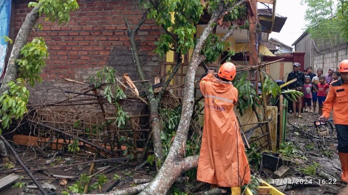 BPBD saat melakukan evakuasi pohon tumbang di Sukabumi, Rabu (17/4/2024).