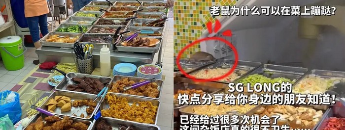 Duh! Di Warung Nasi Ini Tikus Berkeliaran di Etalase Makanan