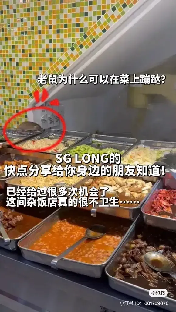Duh! Di Warung Nasi Ini Tikus Berkeliaran di Etalase Makanan