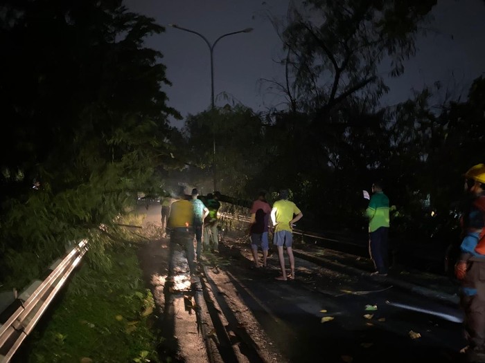 Evakuasi pohon tumbang di Jl Akses UI, Kota Depok, Jawa Barat, 17 April 2024. (Dok Istimewa)
