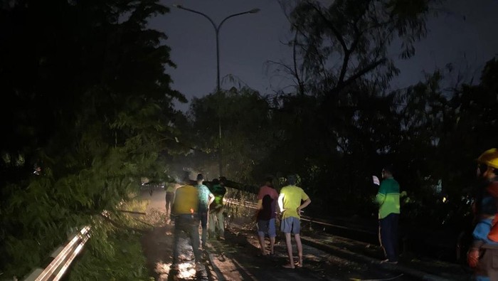 Pohon Tumbang Diangkat, Lalin Jalan Akses UI Arah Margonda Buka Kembali