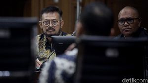 Mantan Ajudan Beberkan Perilaku Yasin Limpo Saat Jadi Mentan