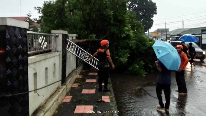 Hujan Deras Disertai Angin Kencang di Bogor, Pohon Tumbang Timpa Mobil-Rumah
