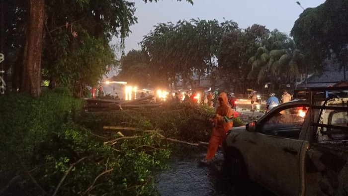 Hujan Angin Akibatkan 6 Pohon Tumbang di Jakarta, 1 Rumah Tertimpa