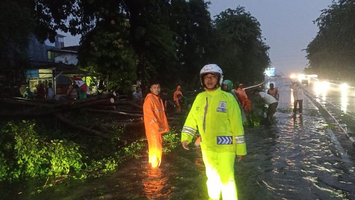 Pohon Tumbang Dekat Tanjakan Tomang Arah Jl S Parman, Lalin Padat